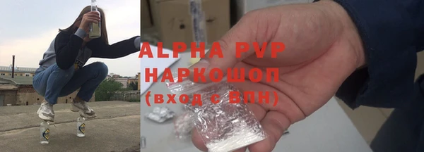 сатива Абинск
