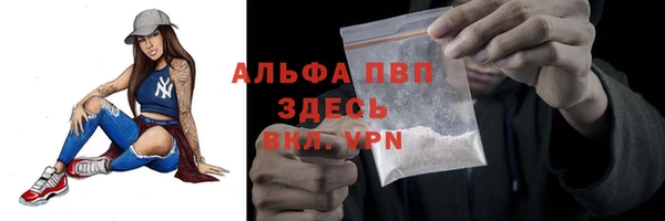 сатива Абинск
