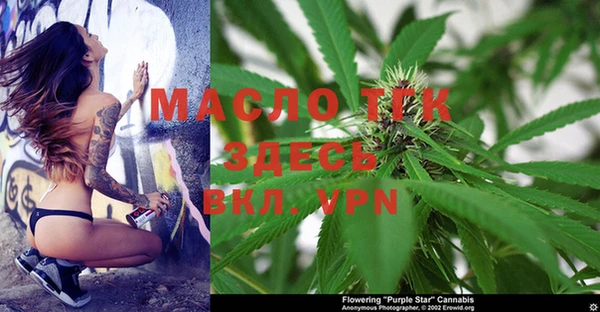 соль ск Рославль